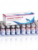 CANVAC DHPPiL+R, gyva-inaktyvuota vakcina, liofilizatas ir skiediklis injekcinei suspensijai ruošti