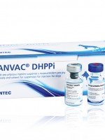 CANVAC DHPPi, gyva vakcina, liofilizatas ir skiediklis injekcinei suspensijai ruošti