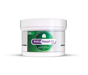 Intra Hoof-fit Gel 40 mg/g + 40 mg/g gelis pieniniams galvijams