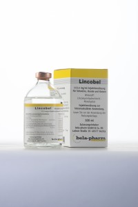 LINCOBEL 113,4 mg/ml injekcinis tirpalas